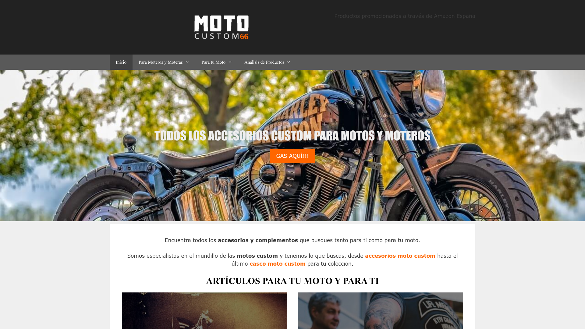 Motocustom66